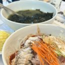 영진횟집 | 강릉 맛집 추천 - 영진횟집 물회, 중앙시장,고씨네동해막국수 후기❤️