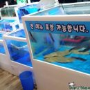 오징어천국 이미지