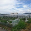 근계3리 이미지