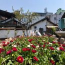 역전시장 이미지