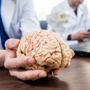 다나아 한의원 이미지