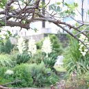 순옥이네 민박 이미지