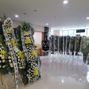 한국의전산업협동조합