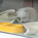 우리펀드샵 아시아경제