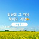 [직접 다녀왔습니다] 사계절 내내 좋은 &#39;북해도&#39; 패키지 여행🌼 - 온라인투어 직원의 리얼 후기