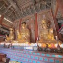 금강장 | [보물 승격 검토] 부여 무량사 아미타여래삼존도