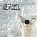 국가대표주유소 | 강원도 대관령눈꽃축제 눈안오는날 방문 후기 눈썰매장 주차 꿀팁