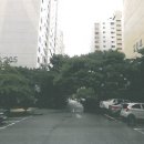 하단동1101 이미지