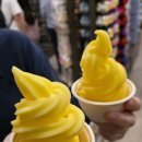 상큼한치과의원 | [상인동 치과] 하와이 디저트 추천 1탄- ☆하겐다즈/포케바/파인애플 소르베☆