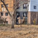 김기현농장 이미지