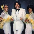 Tie A Yellow Ribbon 'Round The Ole Oak Tree / Tony Orlando &amp; Dawn 이미지