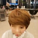 호박미용실 이미지