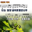 너는 담장너머로 뻗은 나무 (야곱의 축복) 이미지