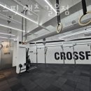 크로스핏 앤츠 이미지