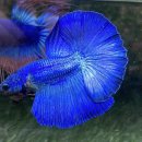 피쉬갤러리 천안점 이미지