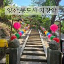 자장암 마애아미타여래삼존상 | 경남 양산가볼만한곳 통도사 자장암 금개구리 '금와보살'