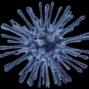 코끼리식품 이미지