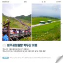 (주)천지국제여행사