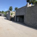 바다의 숲속 이미지