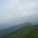 사평분교 Daum카페