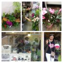 정희네 가게 이미지