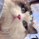 무양한의원 이미지