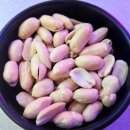 음악술집 | [연산동 술집] 분위기와 음악이 있는 음악을 파는 술집 오방포차 방문 후기