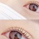네일더반함