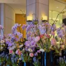 달콤한휴식 | [일산 마두동 카페] 퐁신퐁신 수플레 팬케이크에 반하다! 봄날의 달콤한 휴식, '소요소요' 후기🍓🥞✨