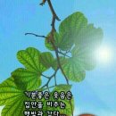 나주설렁탕 이미지