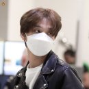 숲속의 향기 이미지