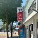 양평칼국수만두 | 양평역 칼국수, 만두 맛집] 명가들깨칼국수 양평점 내돈내산 솔직후기 | 들깨의 고소함이 가득한 칼국수...