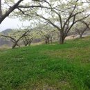 말구리농장 이미지