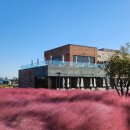 블랜드미(BLENDMI) 이미지