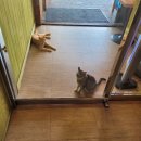 정우보습학원 | [블챌] 7월 1주차 기록