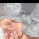 네일드리아