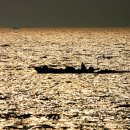 황금바다 이미지