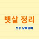 뱃살쫙