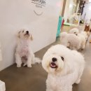 오후의 일상 스케치 이미지