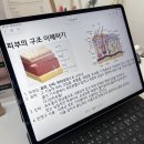 7305 | 낙성대역 자연눈썹 오르다브로우 후기 💚