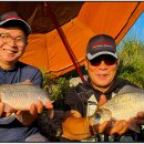 해남교차로  마산교차로 이미지