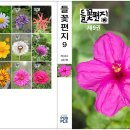 들꽃편지