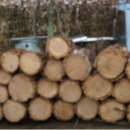 효천농장 이미지