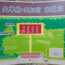 [오키나와 나하 가볼만한곳] ＜天尊廟・天妃宮 채온과 정순칙 송덕비＞ 유구의 역사와 문화 집약 공간, 일본의 오키나와 시각 이해 이미지