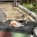 신정3동 마을문고 | 태화강 황톳길 맨발걷기 etc.