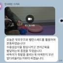 시흥유치원 | 시흥 강아지 유치원 견학생스쿨 내돈내산 후기