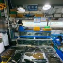 춘천시풍물시장 공영주차장 입구 | 속초 방어회 맛집 포장하러 주문진좌판풍물시장 다녀왔어요