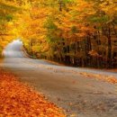 유림프라자 이미지