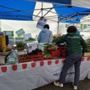 김윤태농장 이미지