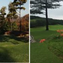 화성 상록 G.C 이미지